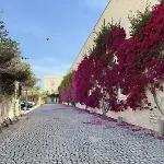 Convento Bernardas - One Of A Kind -