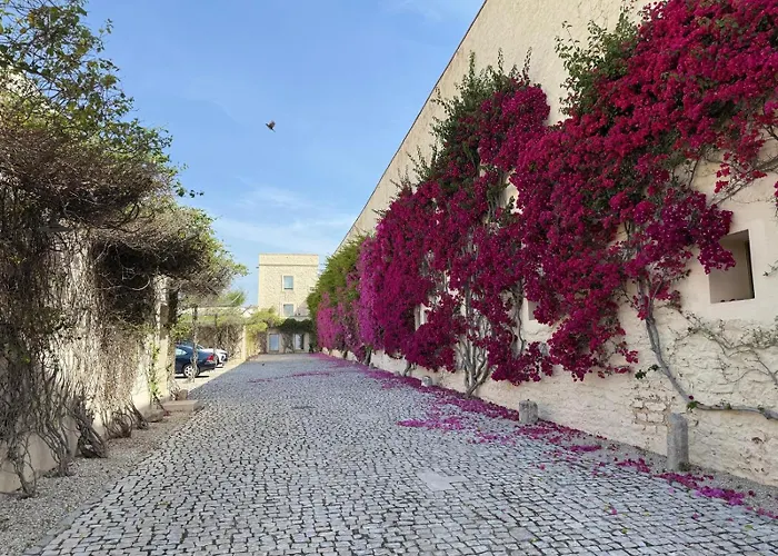 Convento Bernardas - One Of A Kind -