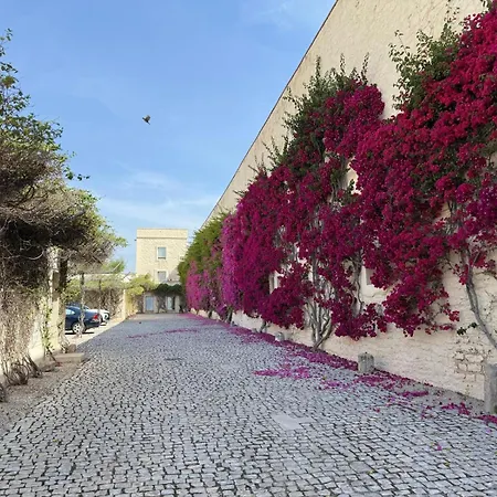 Convento Bernardas - One Of A Kind -