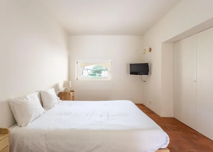 Convento Bernardas - One Of A Kind - *