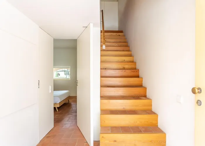 Convento Bernardas - One Of A Kind -